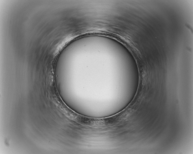 X0000099551363200805301512