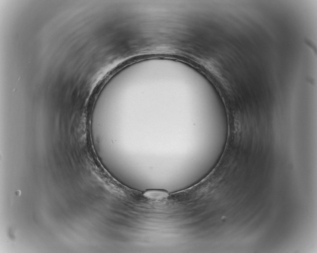 X0000099551364200805301512