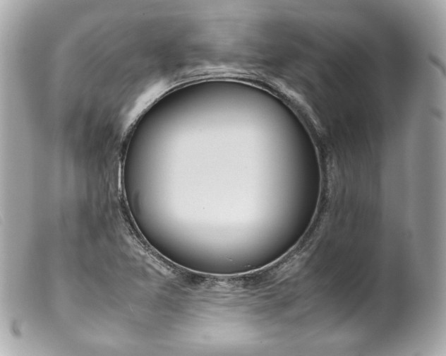 X0000099551365200805301512