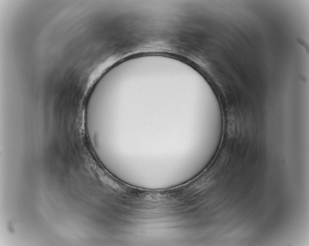 X0000099551366200805301512