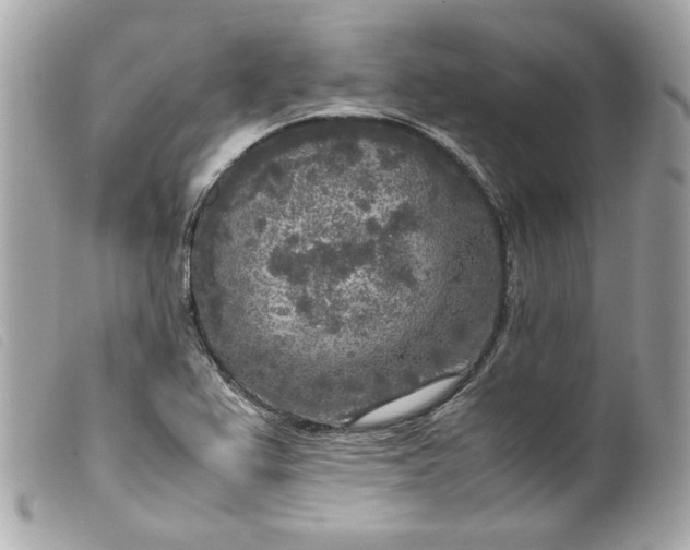 X0000099551367200805301512