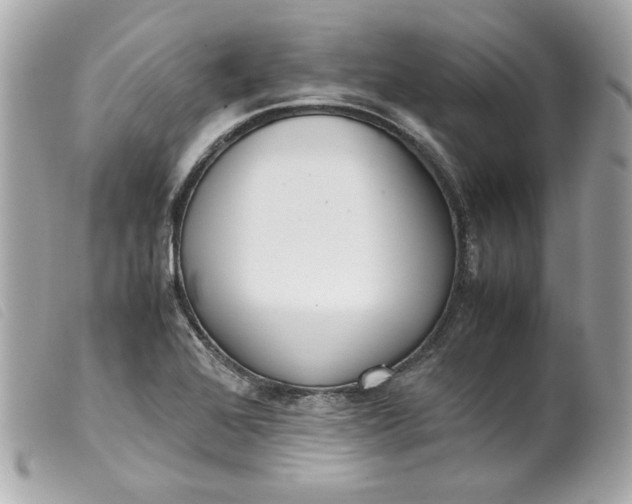 X0000099551368200805301512