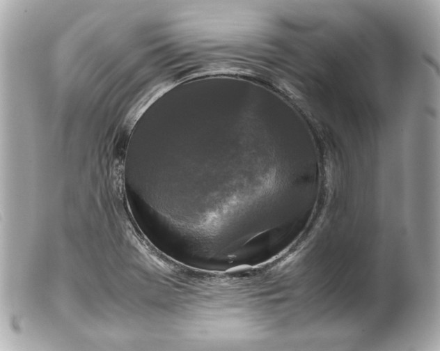 X0000099551369200805301512