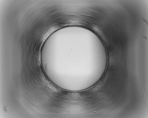 X0000099551370200805301512