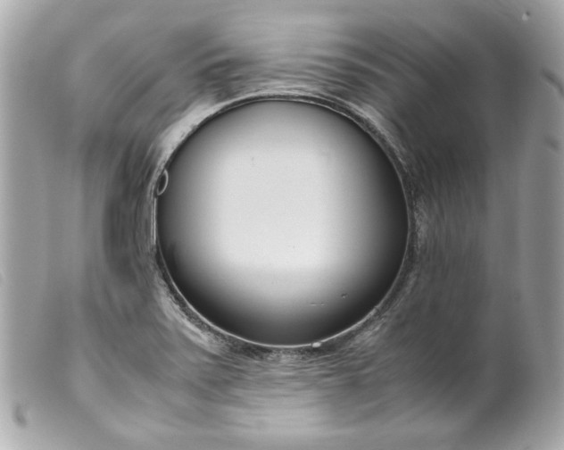 X0000099551371200805301512