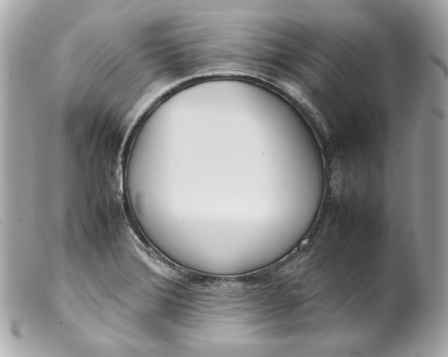 X0000099551372200805301512