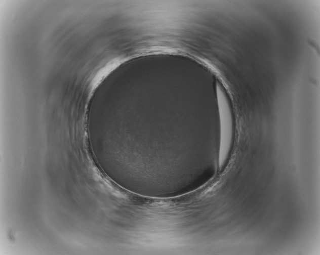 X0000099551373200805301512