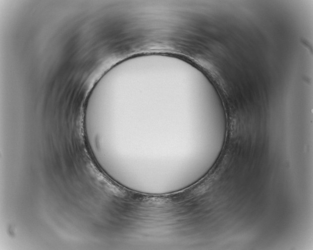 X0000099551374200805301512