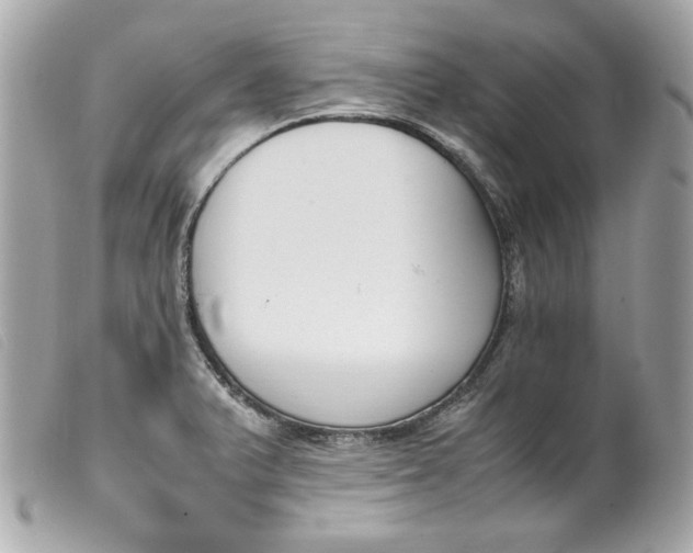 X0000099551375200805301512