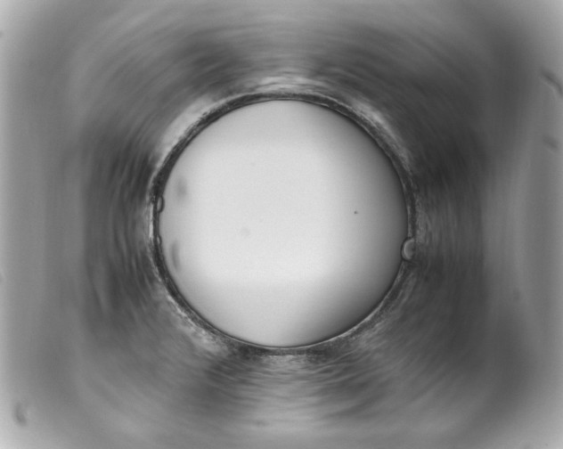 X0000099551376200805301512