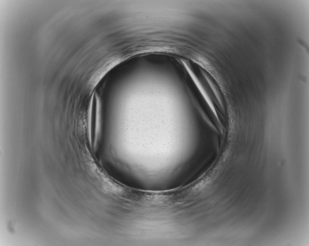 X0000099551377200805301512