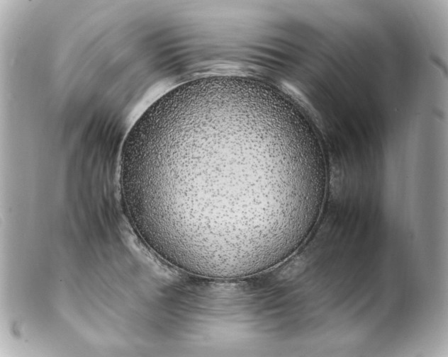 X0000099551378200805301512