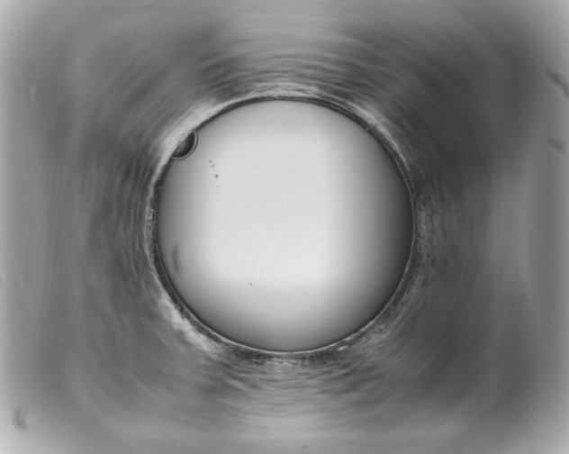 X0000099551379200805301512