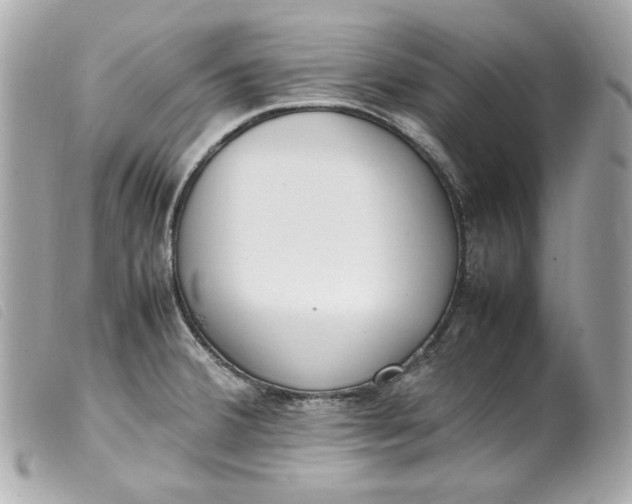 X0000099551380200805301512