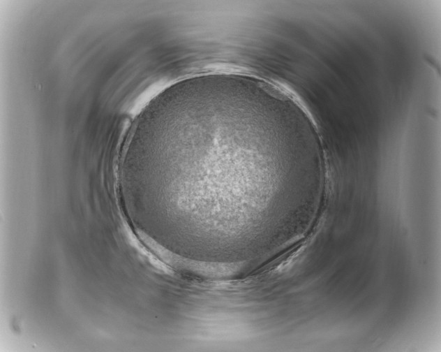 X0000099551381200805301512