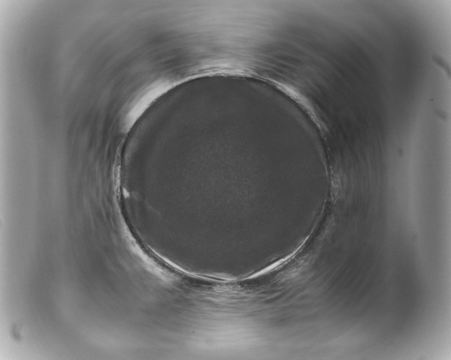 X0000099551383200805301512