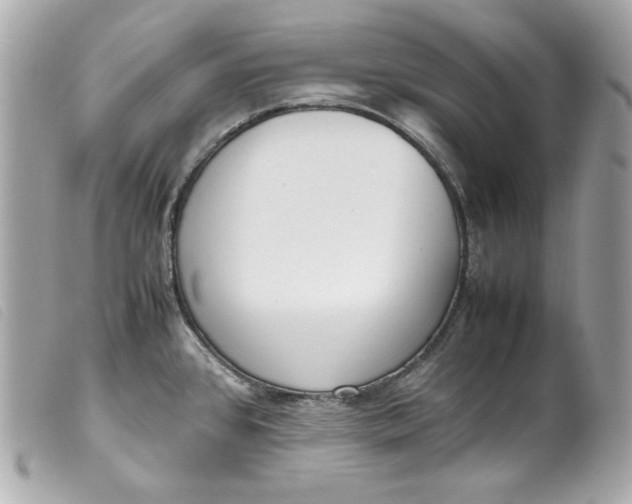 X0000099551384200805301512