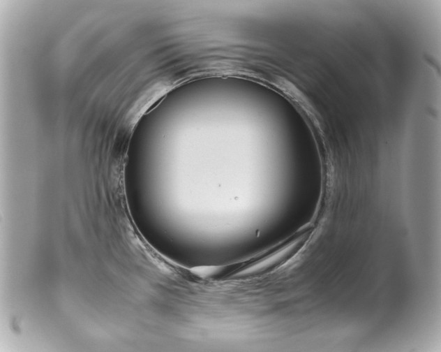 X0000099551385200805301512