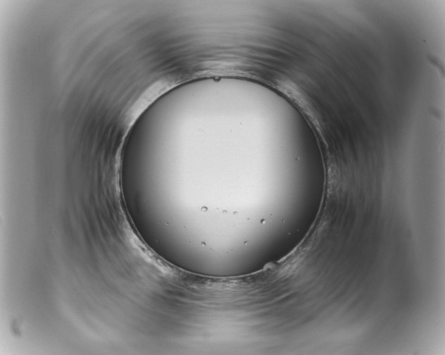 X0000099551386200805301512