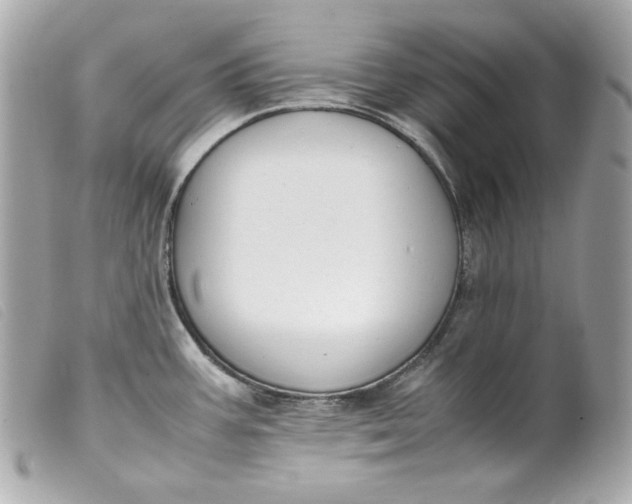 X0000099551387200805301512