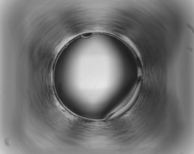 X0000099551388200805301512