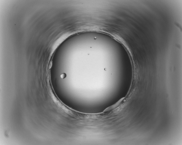 X0000099551389200805301512