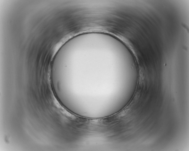 X0000099551390200805301512