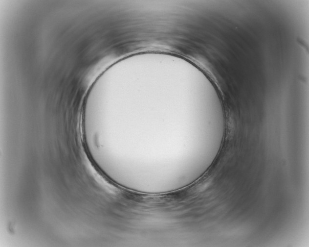 X0000099551391200805301512