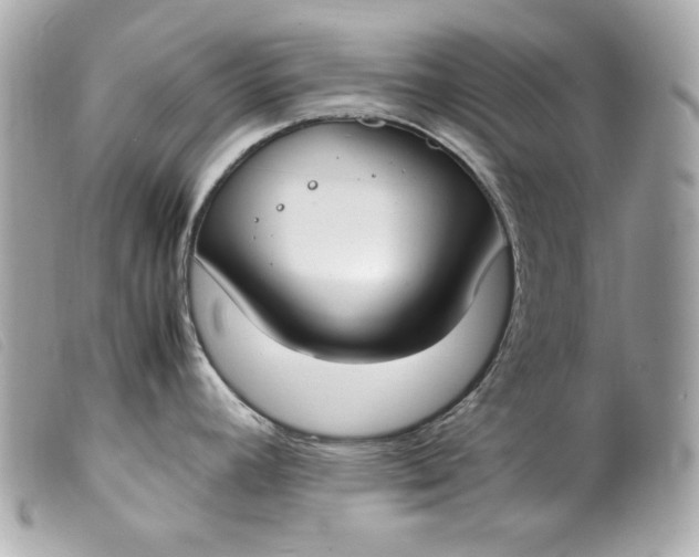 X0000099551392200805301512