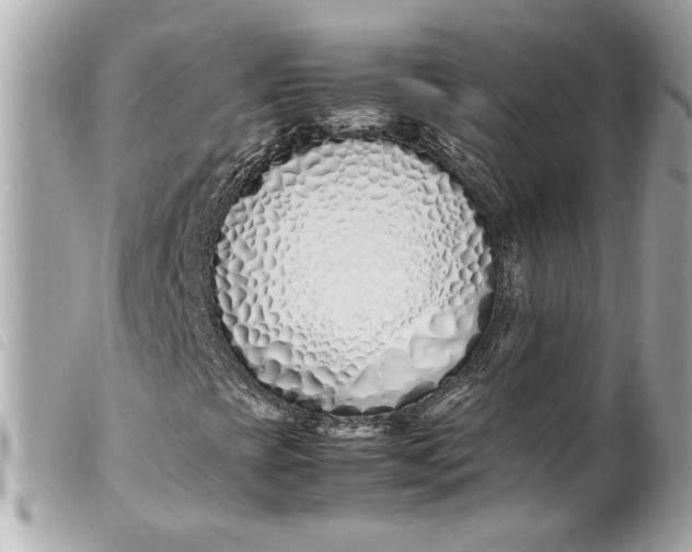 X0000099551393200805301511