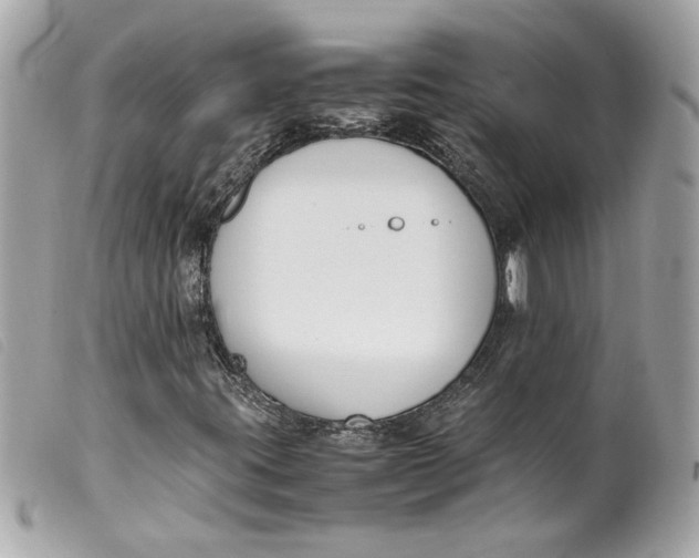 X0000099551395200805301511