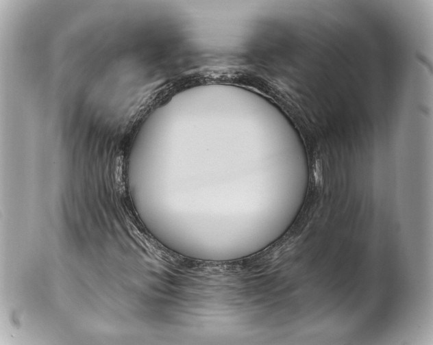 X0000099551396200805301511