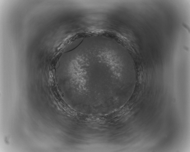 X0000099551397200805301511