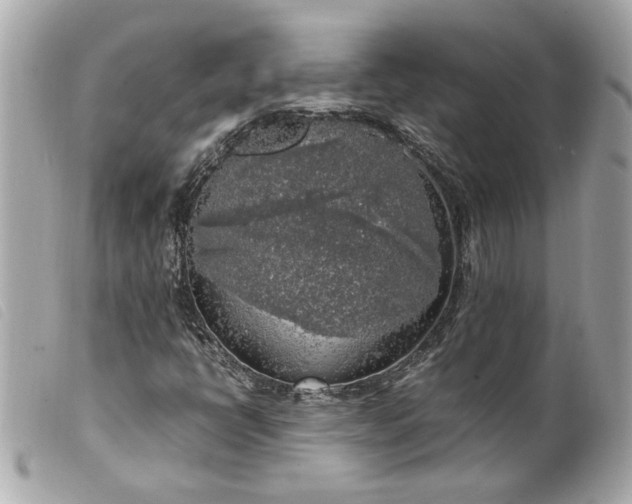 X0000099551398200805301511