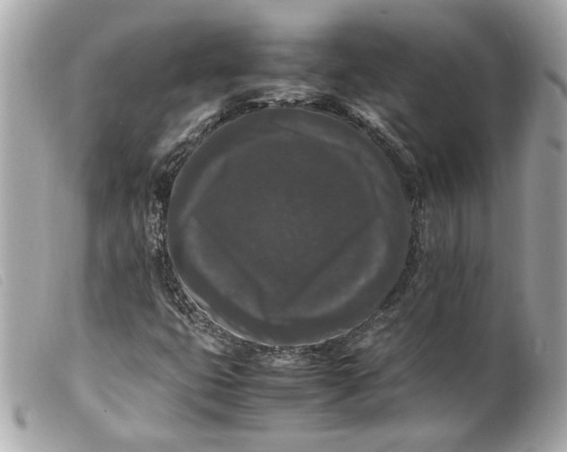 X0000099551399200805301511