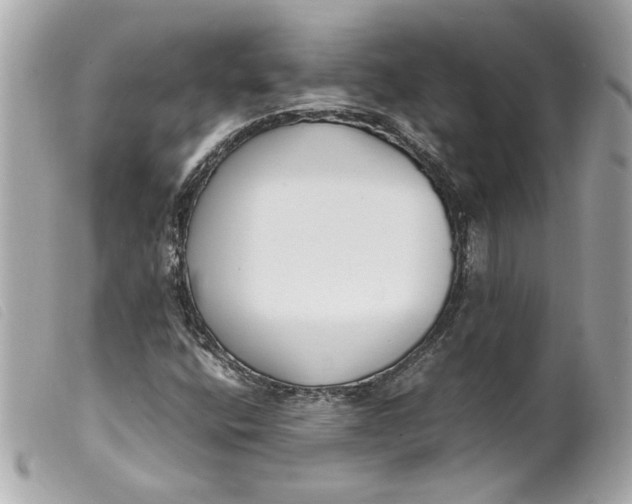 X0000099551400200805301511