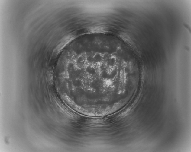 X0000099551401200805301511