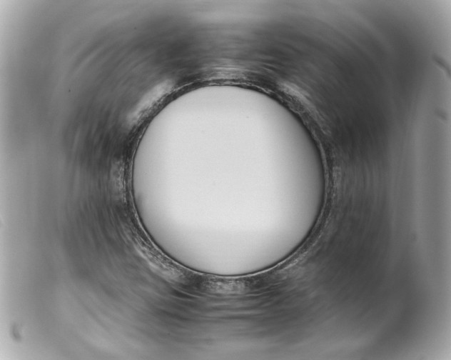 X0000099551403200805301511