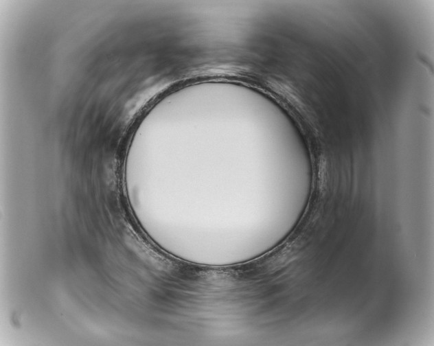 X0000099551404200805301511