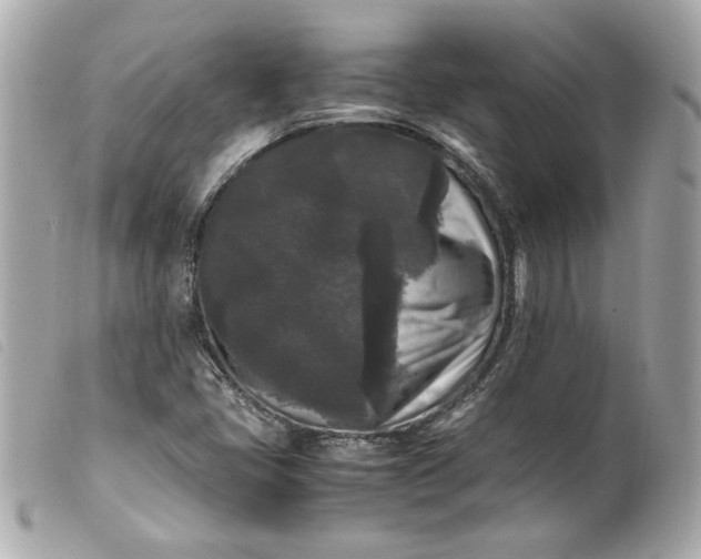 X0000099551405200805301511