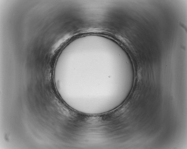 X0000099551406200805301511