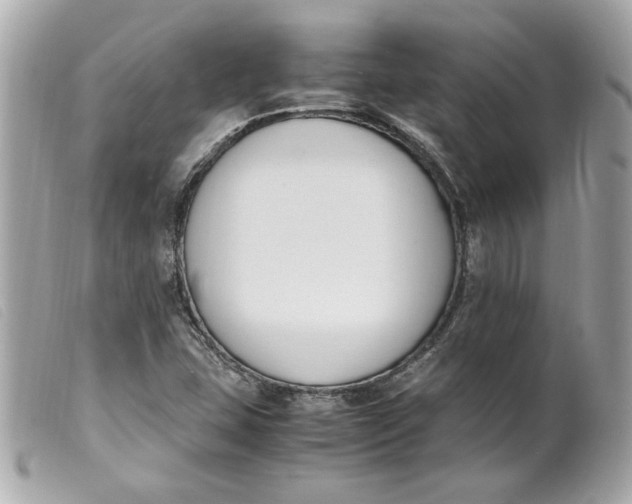 X0000099551407200805301511