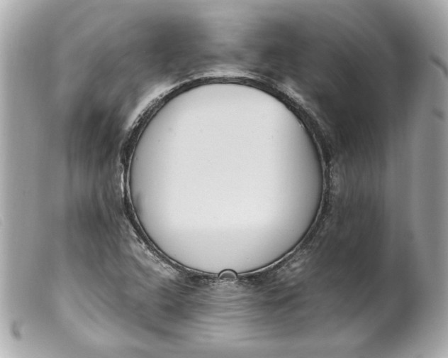 X0000099551408200805301511