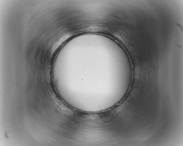 X0000099551410200805301511