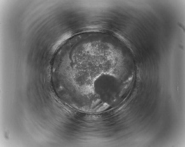 X0000099551411200805301511