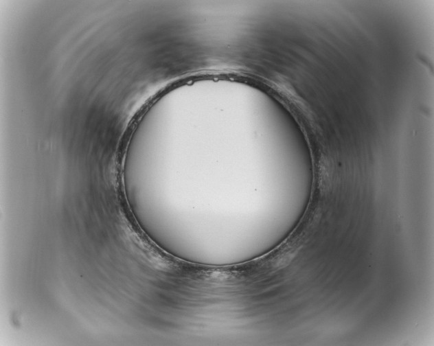 X0000099551412200805301511