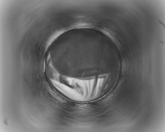 X0000099551413200805301511