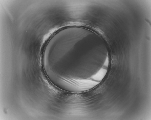 X0000099551414200805301511