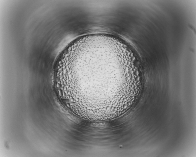 X0000099551415200805301511