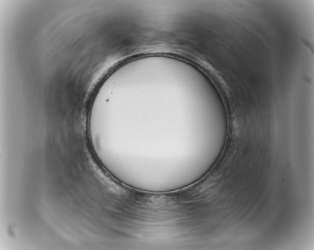 X0000099551416200805301511